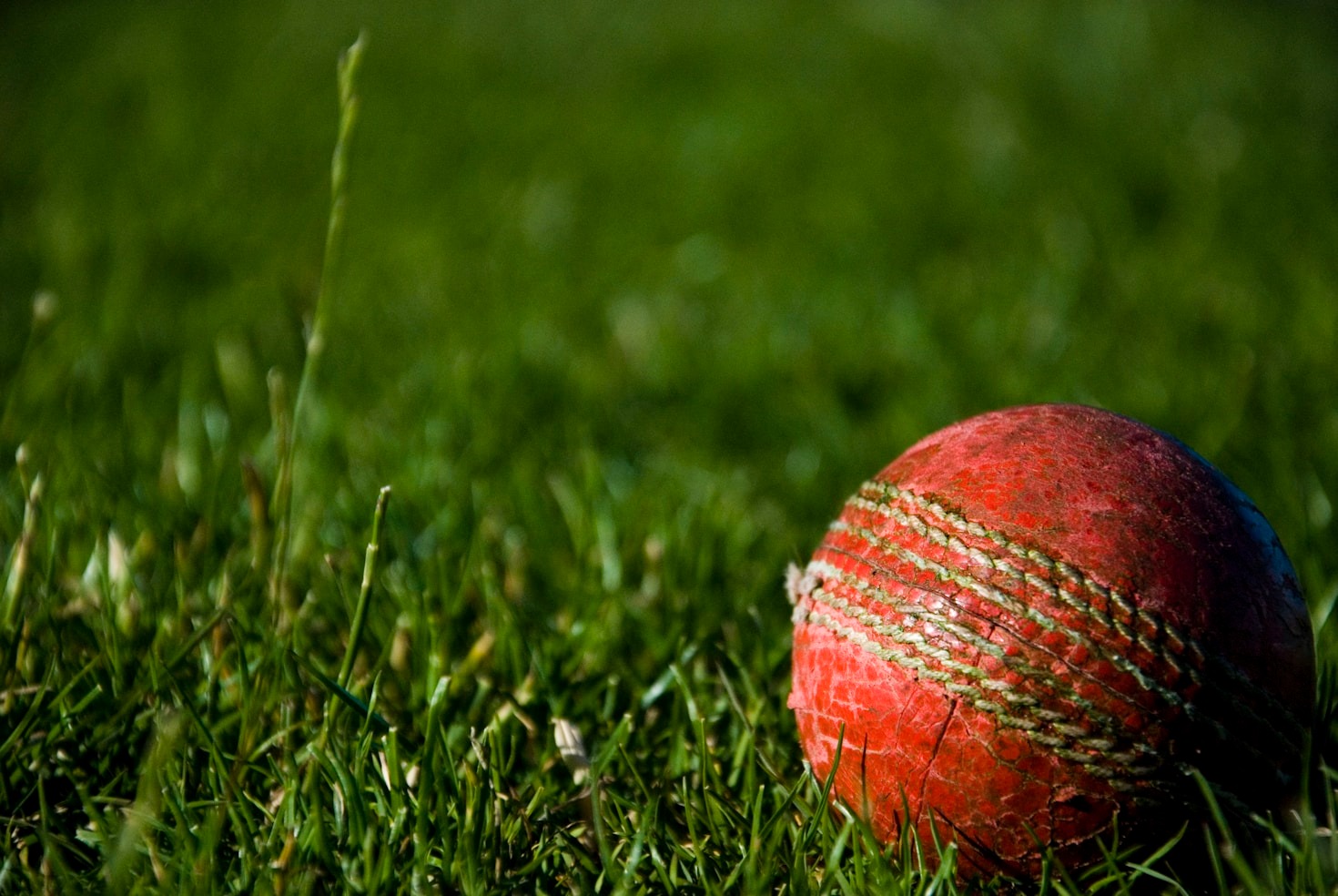 How to Use Data to Predict Cricket Outcomes